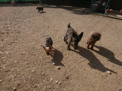 f:id:roukenhome-ann:20190812171743j:plain