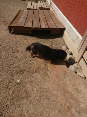 f:id:roukenhome-ann:20190812171815j:plain