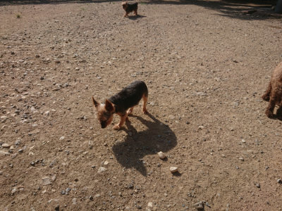 f:id:roukenhome-ann:20190812171821j:plain