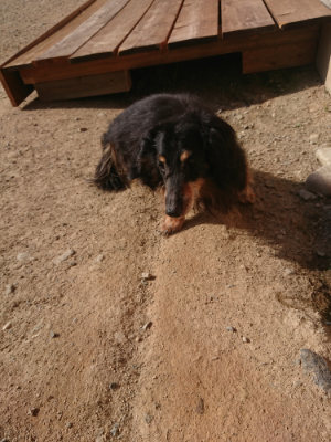 f:id:roukenhome-ann:20190812171846j:plain