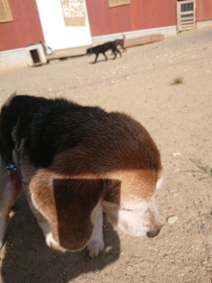 f:id:roukenhome-ann:20190812171906j:plain