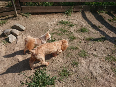f:id:roukenhome-ann:20190812171919j:plain