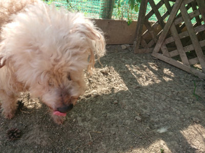 f:id:roukenhome-ann:20190812171932j:plain