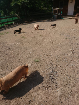 f:id:roukenhome-ann:20190812172002j:plain