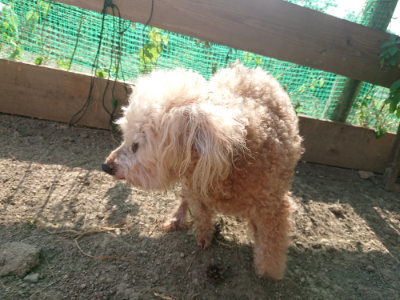 f:id:roukenhome-ann:20190812172024j:plain