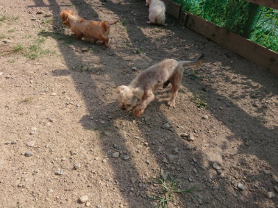 f:id:roukenhome-ann:20190812172123j:plain