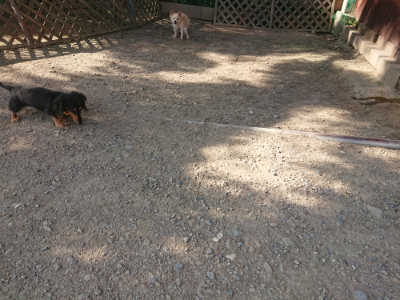 f:id:roukenhome-ann:20190812172130j:plain