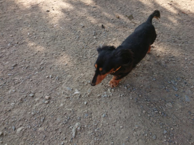 f:id:roukenhome-ann:20190812172146j:plain