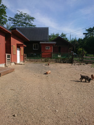 f:id:roukenhome-ann:20190812174100j:plain
