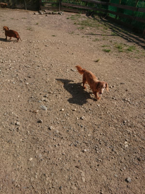 f:id:roukenhome-ann:20190812174115j:plain