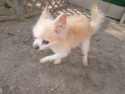 f:id:roukenhome-ann:20190812174136j:plain