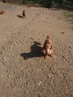 f:id:roukenhome-ann:20190812174156j:plain