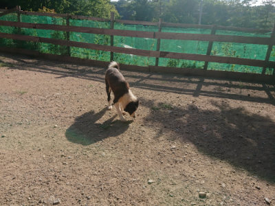 f:id:roukenhome-ann:20190812174202j:plain