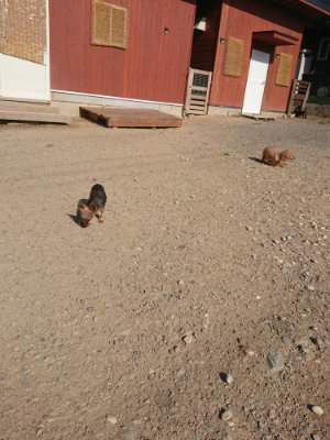 f:id:roukenhome-ann:20190812174223j:plain