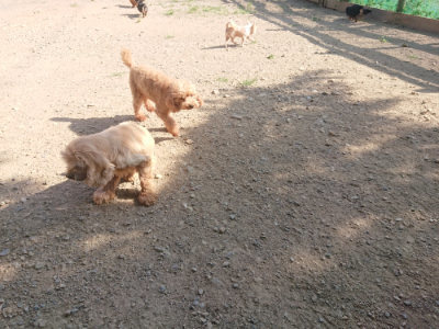 f:id:roukenhome-ann:20190812174300j:plain