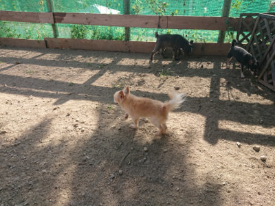 f:id:roukenhome-ann:20190812174332j:plain