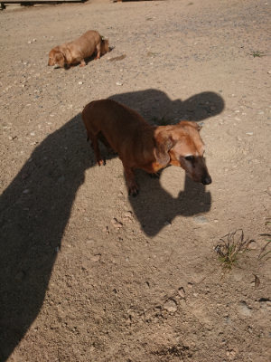 f:id:roukenhome-ann:20190812174337j:plain