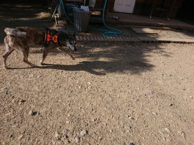 f:id:roukenhome-ann:20190812174343j:plain