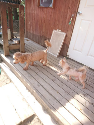 f:id:roukenhome-ann:20190812174352j:plain