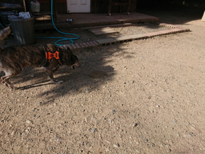 f:id:roukenhome-ann:20190812174409j:plain