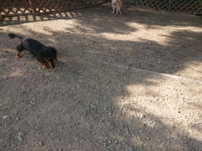 f:id:roukenhome-ann:20190812174426j:plain