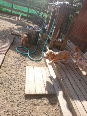 f:id:roukenhome-ann:20190812174434j:plain