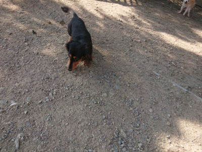 f:id:roukenhome-ann:20190812174502j:plain