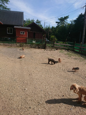f:id:roukenhome-ann:20190812174657j:plain