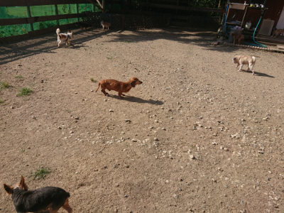 f:id:roukenhome-ann:20190812175112j:plain f:id:roukenhome-ann:20190812175112j:plain