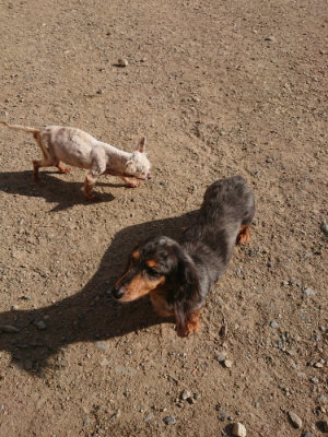f:id:roukenhome-ann:20190812175258j:plain f:id:roukenhome-ann:20190812175258j:plain