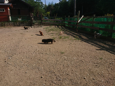 f:id:roukenhome-ann:20190812175345j:plain f:id:roukenhome-ann:20190812175345j:plain