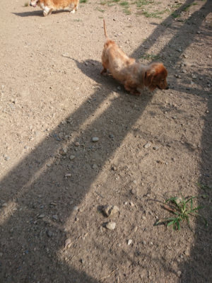 f:id:roukenhome-ann:20190812175436j:plain f:id:roukenhome-ann:20190812175436j:plain