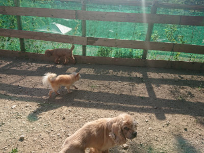 f:id:roukenhome-ann:20190812175502j:plain f:id:roukenhome-ann:20190812175502j:plain