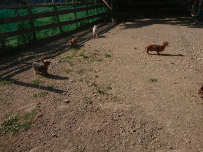 f:id:roukenhome-ann:20190812175509j:plain f:id:roukenhome-ann:20190812175509j:plain