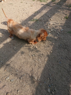 f:id:roukenhome-ann:20190812175520j:plain f:id:roukenhome-ann:20190812175520j:plain