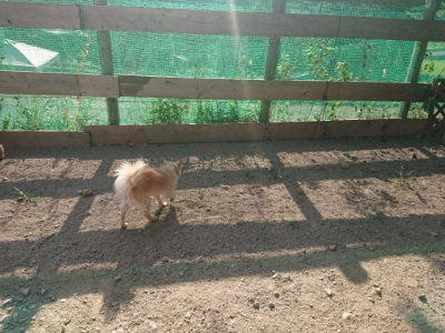 f:id:roukenhome-ann:20190812175528j:plain f:id:roukenhome-ann:20190812175528j:plain