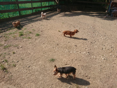 f:id:roukenhome-ann:20190812175535j:plain f:id:roukenhome-ann:20190812175535j:plain