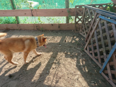f:id:roukenhome-ann:20190812180956j:plain f:id:roukenhome-ann:20190812180956j:plain