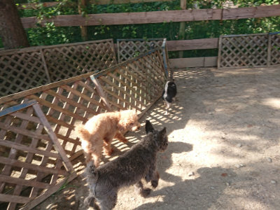 f:id:roukenhome-ann:20190812181001j:plain f:id:roukenhome-ann:20190812181001j:plain