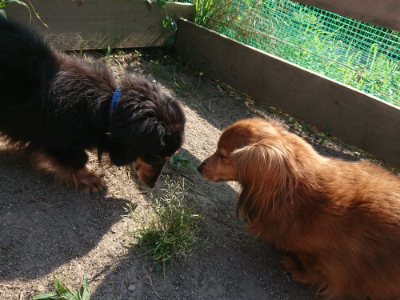 f:id:roukenhome-ann:20190812181008j:plain f:id:roukenhome-ann:20190812181008j:plain