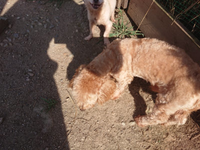 f:id:roukenhome-ann:20190812181138j:plain f:id:roukenhome-ann:20190812181138j:plain