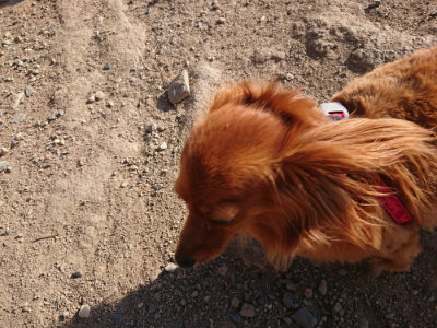 f:id:roukenhome-ann:20190812181205j:plain f:id:roukenhome-ann:20190812181205j:plain