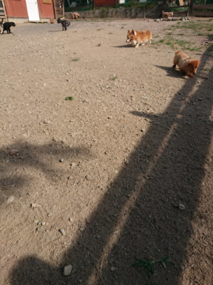 f:id:roukenhome-ann:20190812181233j:plain f:id:roukenhome-ann:20190812181233j:plain