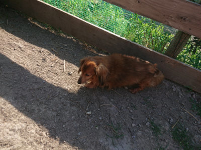 f:id:roukenhome-ann:20190812181304j:plain f:id:roukenhome-ann:20190812181304j:plain