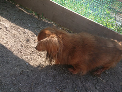 f:id:roukenhome-ann:20190812181328j:plain f:id:roukenhome-ann:20190812181328j:plain