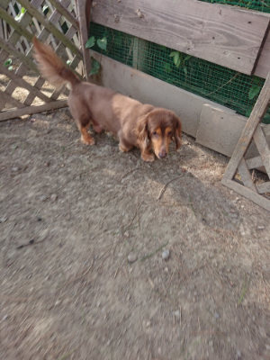 f:id:roukenhome-ann:20190812181351j:plain f:id:roukenhome-ann:20190812181351j:plain