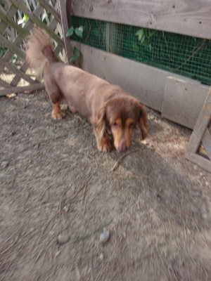 f:id:roukenhome-ann:20190812181425j:plain f:id:roukenhome-ann:20190812181425j:plain