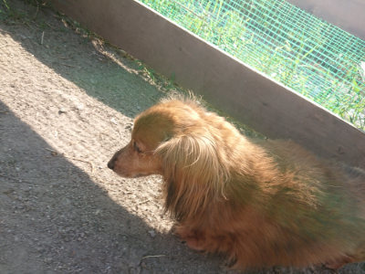 f:id:roukenhome-ann:20190812181446j:plain f:id:roukenhome-ann:20190812181446j:plain