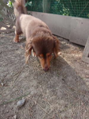 f:id:roukenhome-ann:20190812181505j:plain f:id:roukenhome-ann:20190812181505j:plain