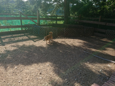 f:id:roukenhome-ann:20190812181703j:plain f:id:roukenhome-ann:20190812181703j:plain
